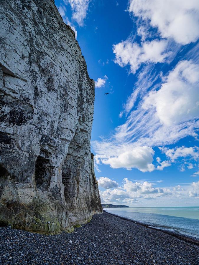 Le Grand Bleu - 400M Plage - Spacieux ディエップ エクステリア 写真